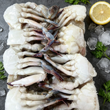Swimming Crab