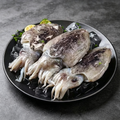Whole Cuttlefish