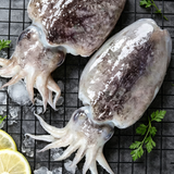 Whole Cuttlefish