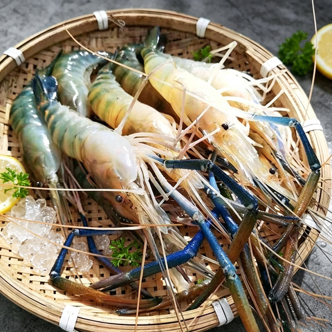Fresh Prawn