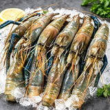 Fresh Prawn